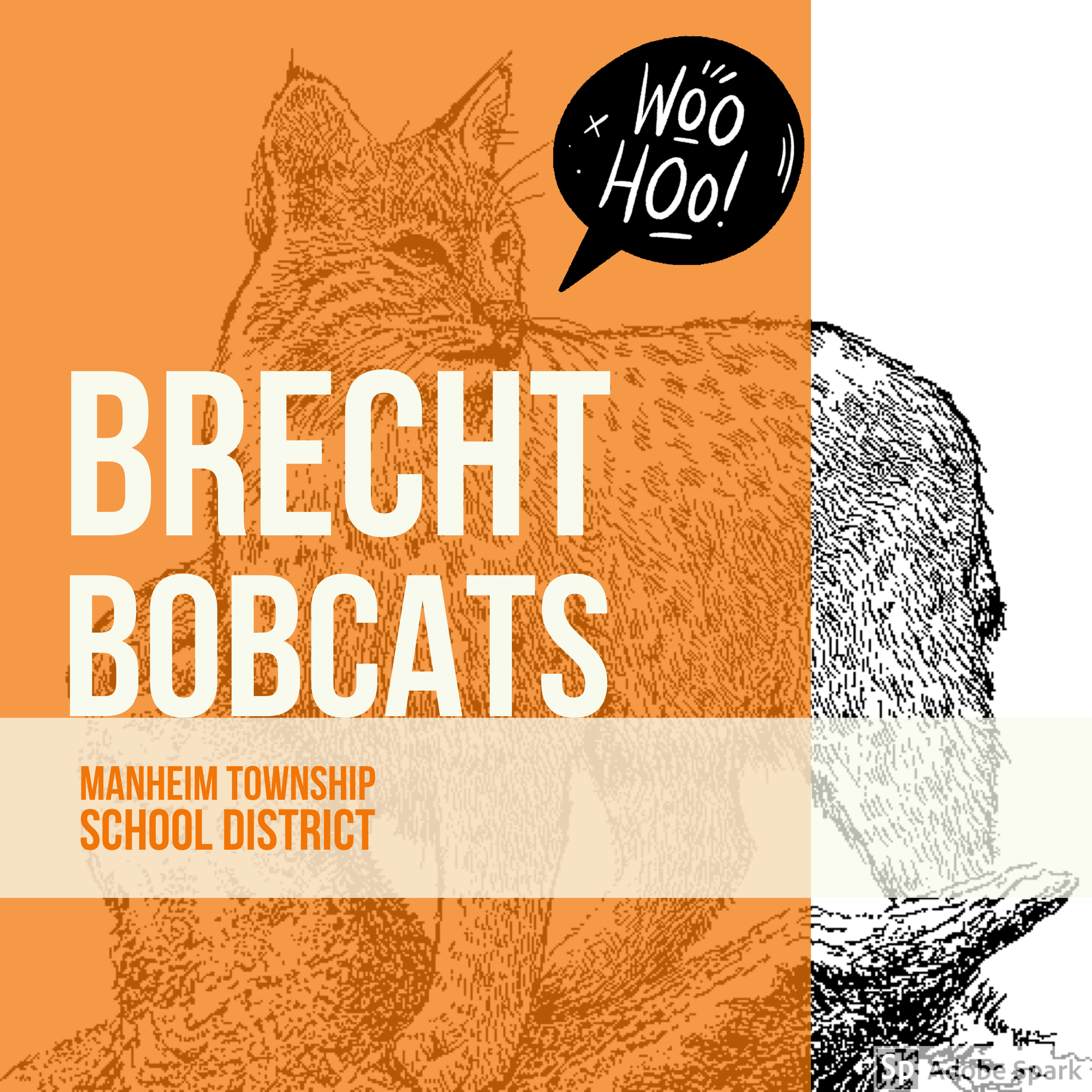 Brecht Bobcat logo